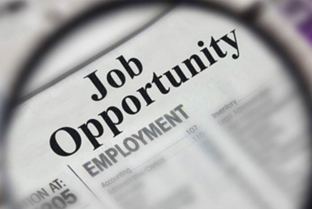 A close-up image of a newspaper's employment section with the heading "Job Opportunity" prominently displayed. The text is magnified and in bold, highlighting job listings for a veterinarian, among other opportunities.