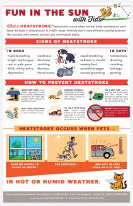 An infographic titled "Fun in the Sun with Fido" explains heatstroke signs in dogs and cats, prevention tips, and dangers. It features illustrations of pets in cars, advising not to leave them in parked vehicles and suggesting indoor or shaded cooling options, recommended by veterinarians.