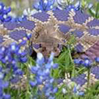 A rattlesnake with a distinctive diamond pattern blends into the surrounding blue and green flowers and foliage, showcasing effective camouflage capabilities. The snake, with its head slightly lifted, is partially hidden amidst the vibrant plant life—an observation that would intrigue any veterinarian.