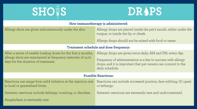 A comparison chart for allergy shots and allergy drops, curated by a veterinarian. It includes how they are administered, treatment schedules and dose frequency, and possible reactions. Allergy shots involve subcutaneous injection; drops are placed inside the pet's mouth. Specific reactions and details for each type are listed.