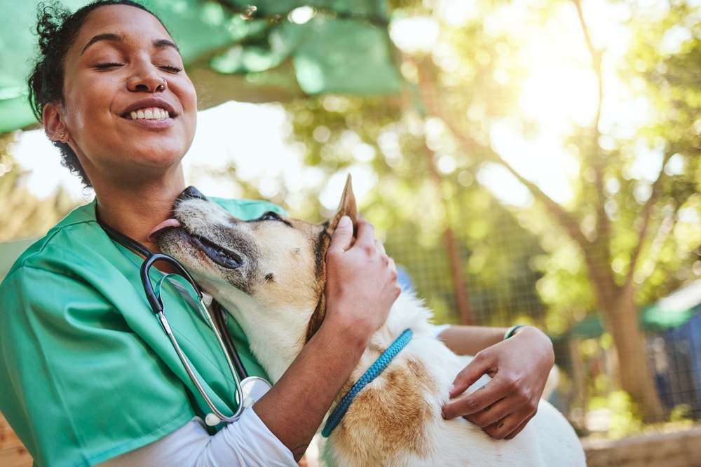 A smiling vet in a green uniform and stethoscope lovingly attends to a happy dog outdoors. The dog, wearing a blue collar, is licking the veterinarian’s chin as sunlight filters through the trees in the background.