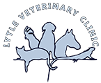 Veterinarian in Lytle | Lytle Veterinary Clinic